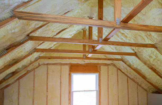 Best Eco-Friendly Insulation in Cockrell Hill, TX