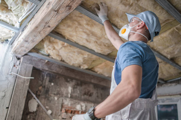 Best Spray Foam Insulation in Cockrell Hill, TX