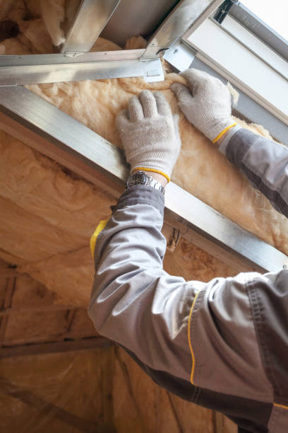 Best Geographic-Specific Insulation Services in Cockrell Hill, TX